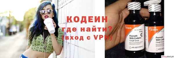 ECSTASY Алзамай