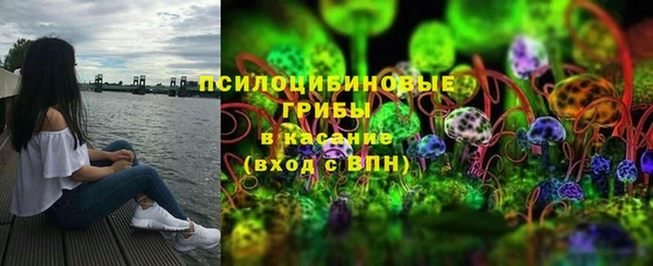 ECSTASY Алзамай