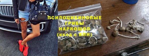 ешки Алексин