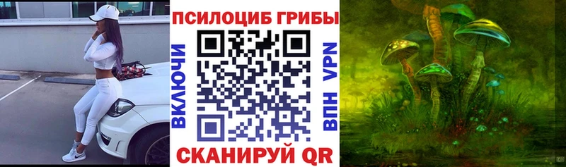 Галлюциногенные грибы Psilocybe  Сургут 