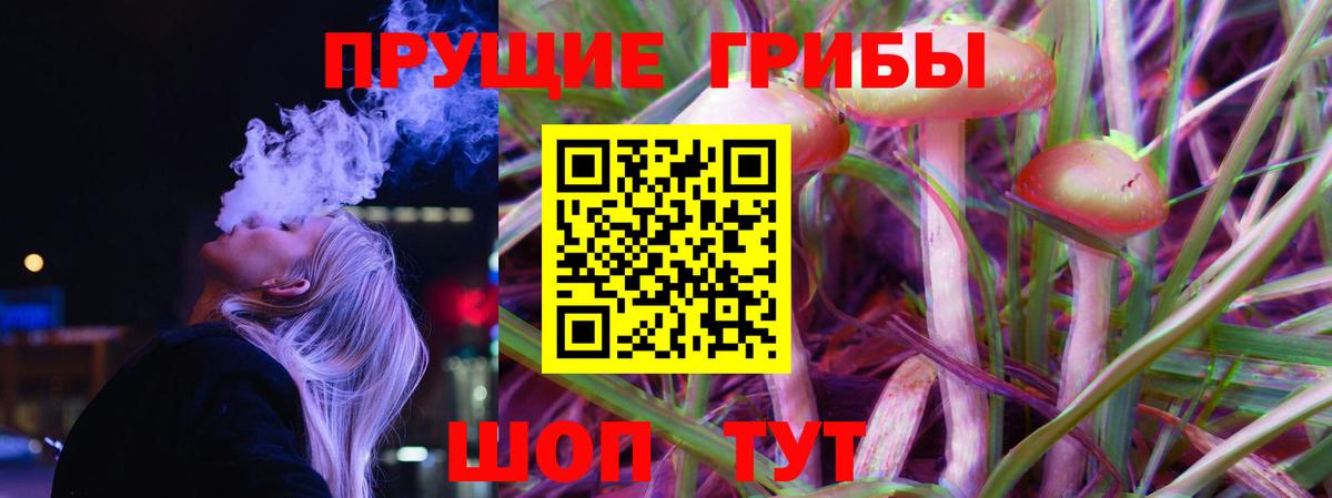 как найти закладки  Галлюциногенные грибы GOLDEN TEACHER  Вход с VPN  Сургут 